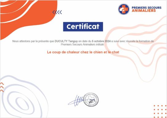 Certificat de participation à la formation de Premiers Secours Animaliers: Le coup de chaleur chez le chien et le chat