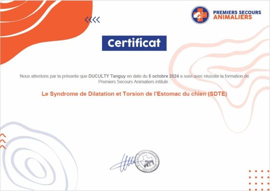 Certificat de participation à la formation de Premiers Secours Animaliers: Le syndrome de Dilatation et Torsion de l'Estomac du chien