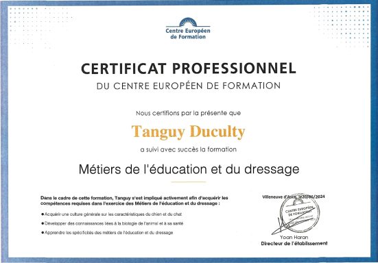 Certificat professionnel au métiers de l'éducation et du dressage, au nom de Tanguy Duculty.